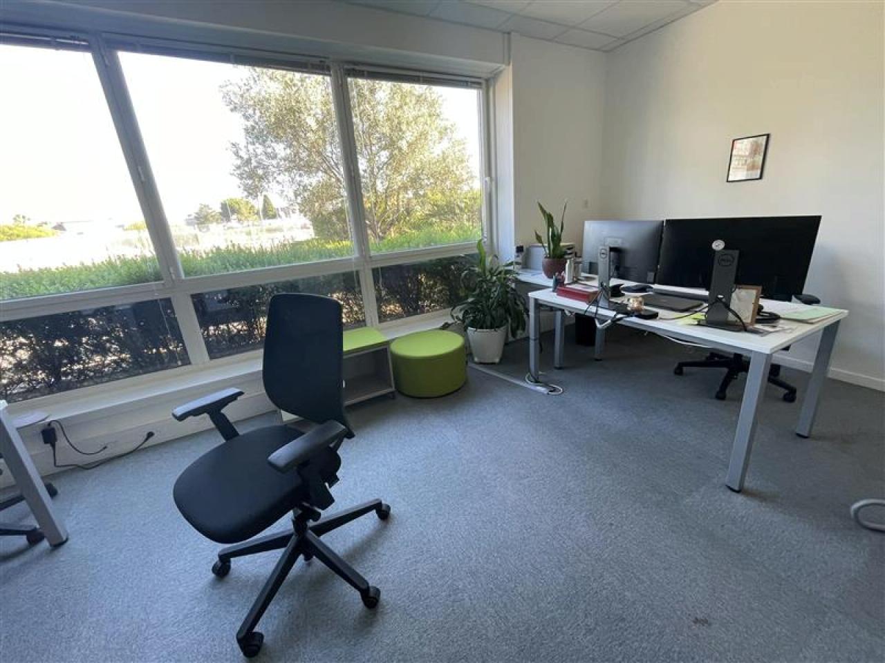 Bureau Montpellier 285m² Location bureau Montpellier Hérault OLBUR2424808 8